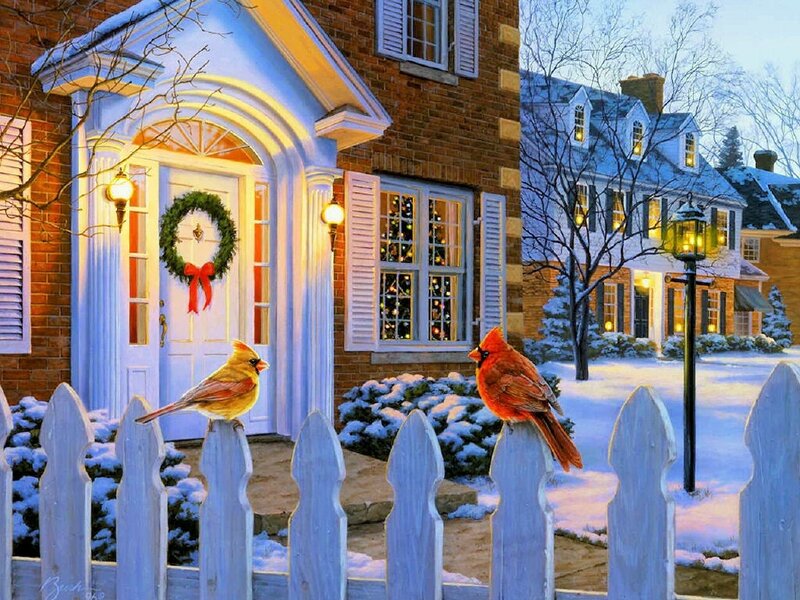 Cardinal Birds on Fence — White