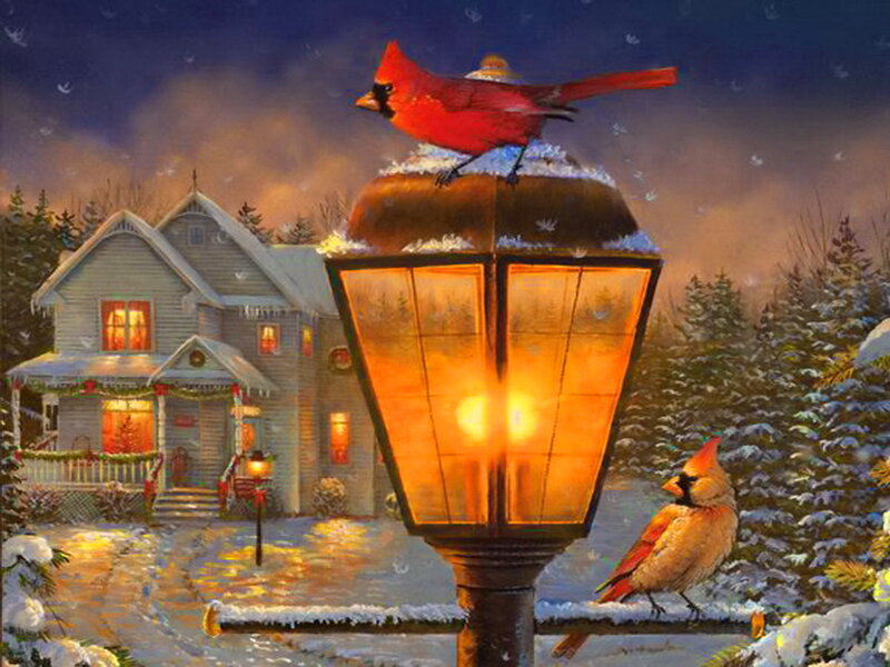Cardinal Birds on Lamp