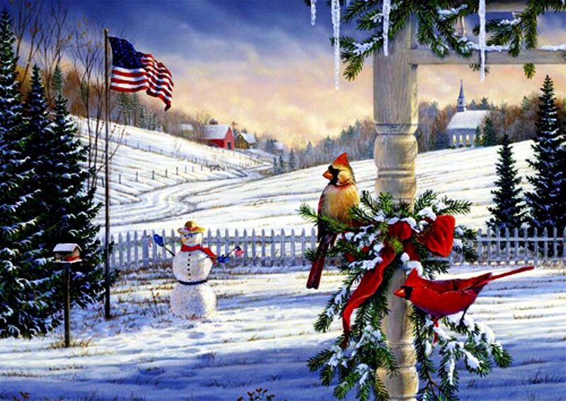 Cardinal Birds on Porch — Red
