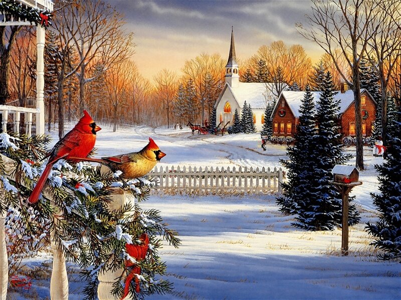 Cardinal Birds on Porch