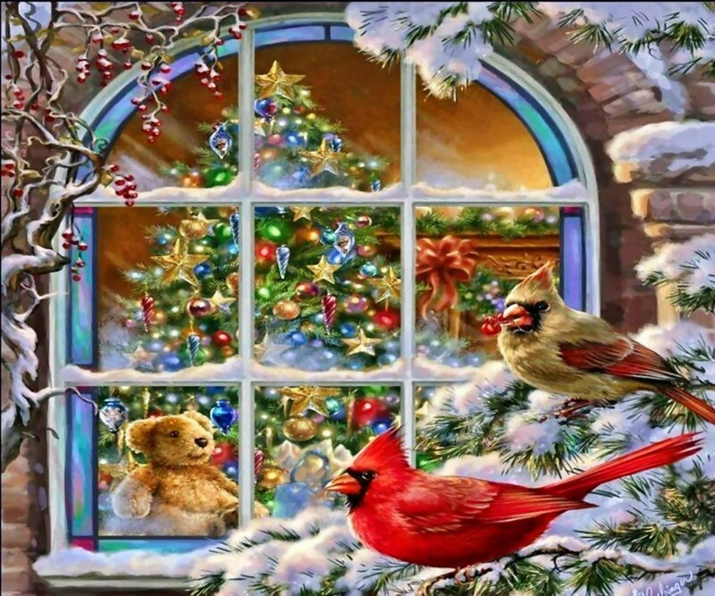 Cardinal Birds Outside Window
