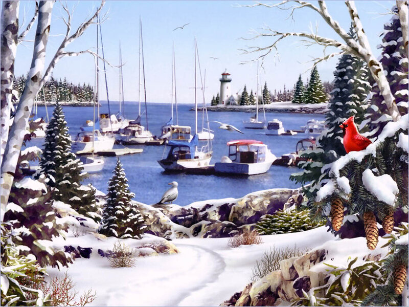 Cardinal in Snowy Harbor
