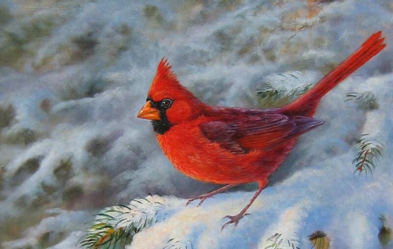 Cardinal in the snow