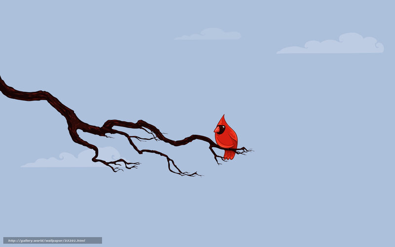 Cardinal on a branch