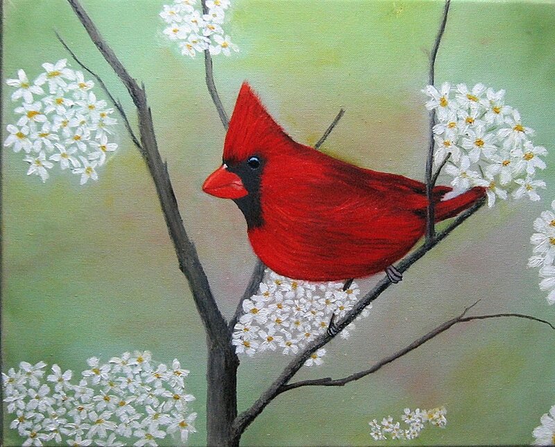 Cardinal on a flowering branch