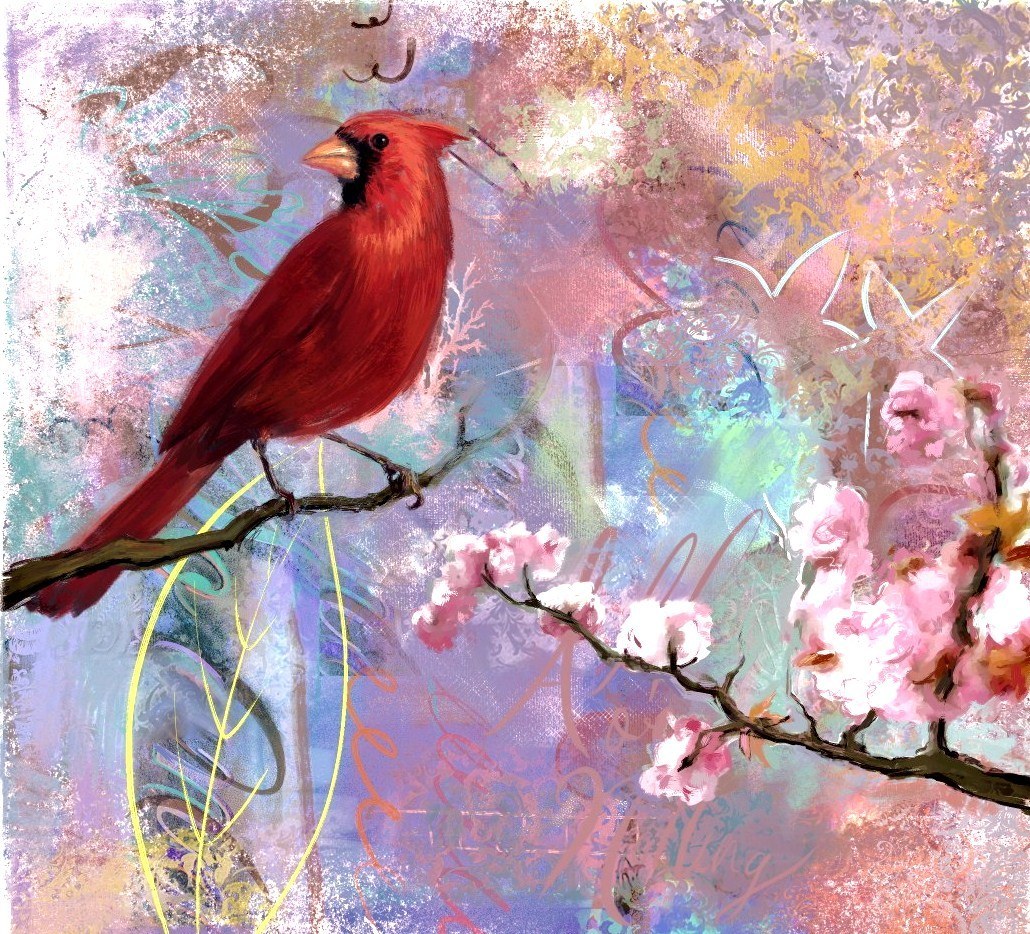 Cardinal on a flowering branch