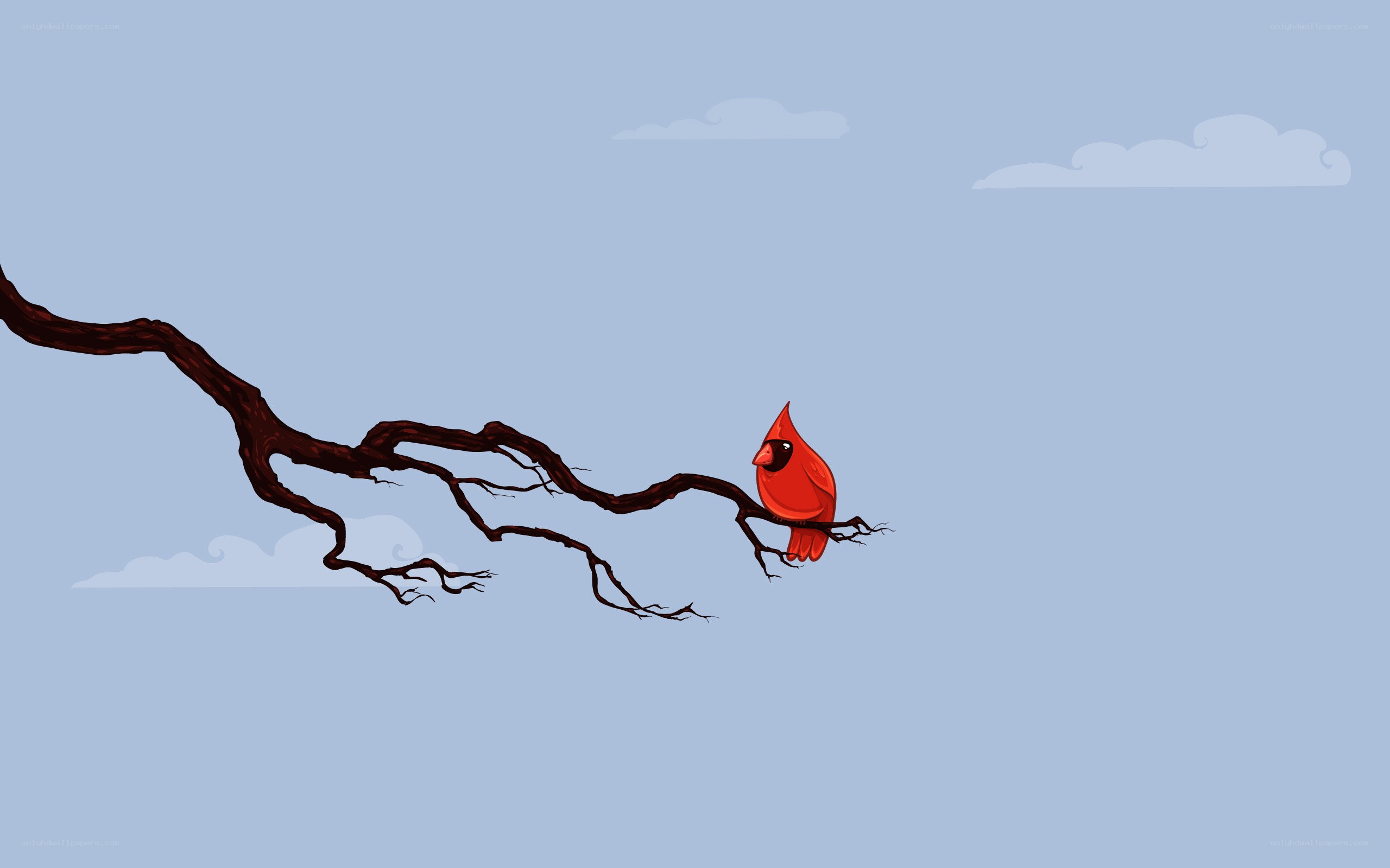 Cardinal on a tree branch