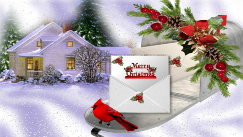 Cardinal on Mailbox — White, Festive