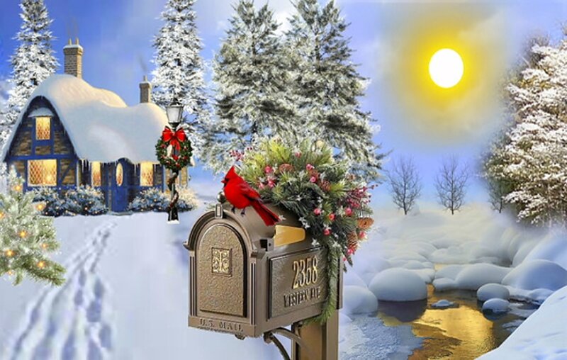 Cardinal on Mailbox — White, Peaceful