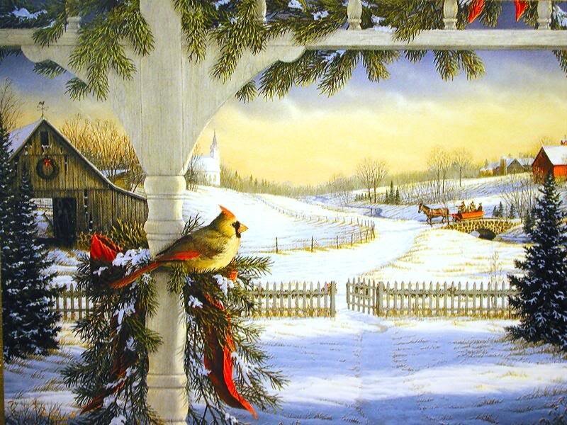 Cardinal on Porch