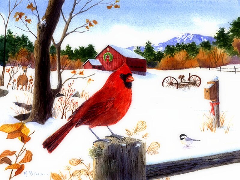 Cardinal on Post