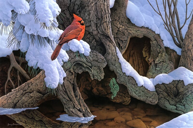 Cardinal on Snowy Branch — Red, Serene