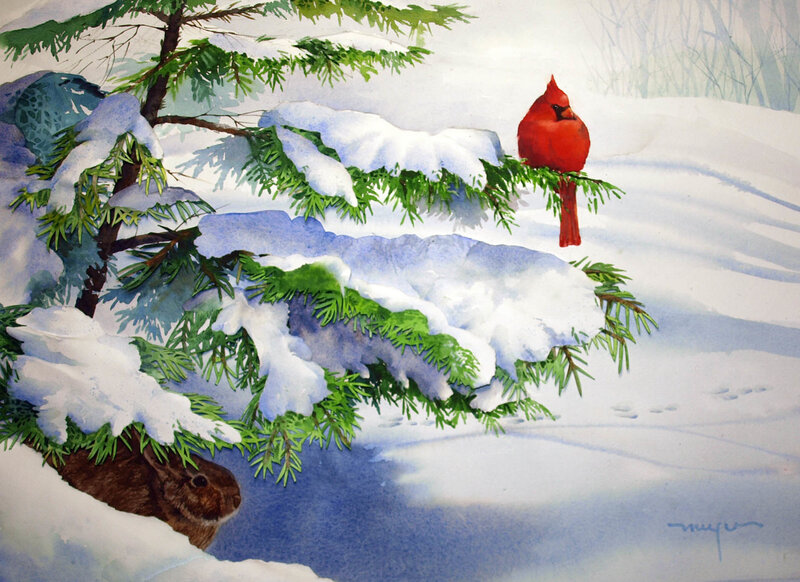 Cardinal on Snowy Branch — Red