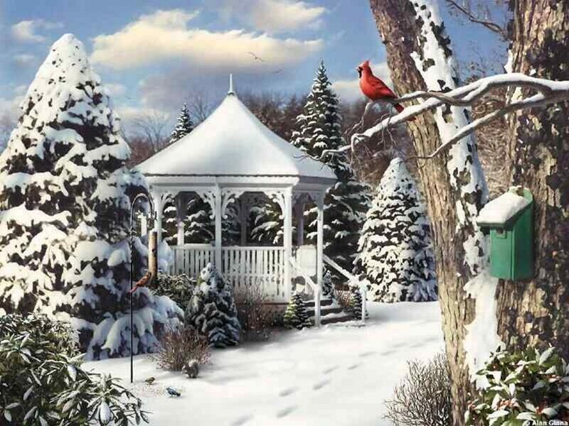 Cardinal on Snowy Branch — White