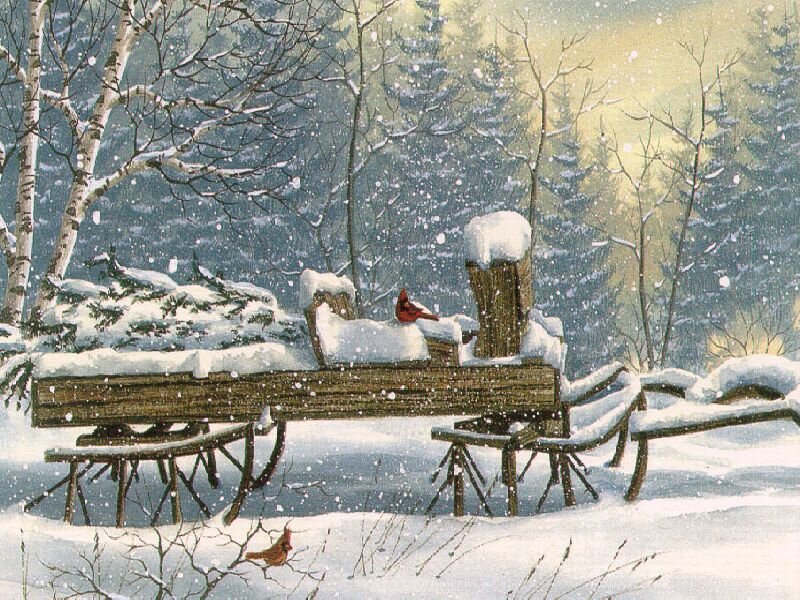 Cardinal on Snowy Cart