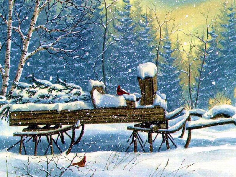 Cardinal on Snowy Wagon