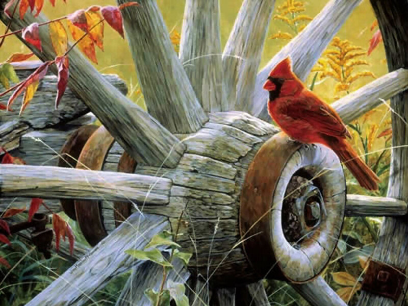 Cardinal on Wagon Wheel