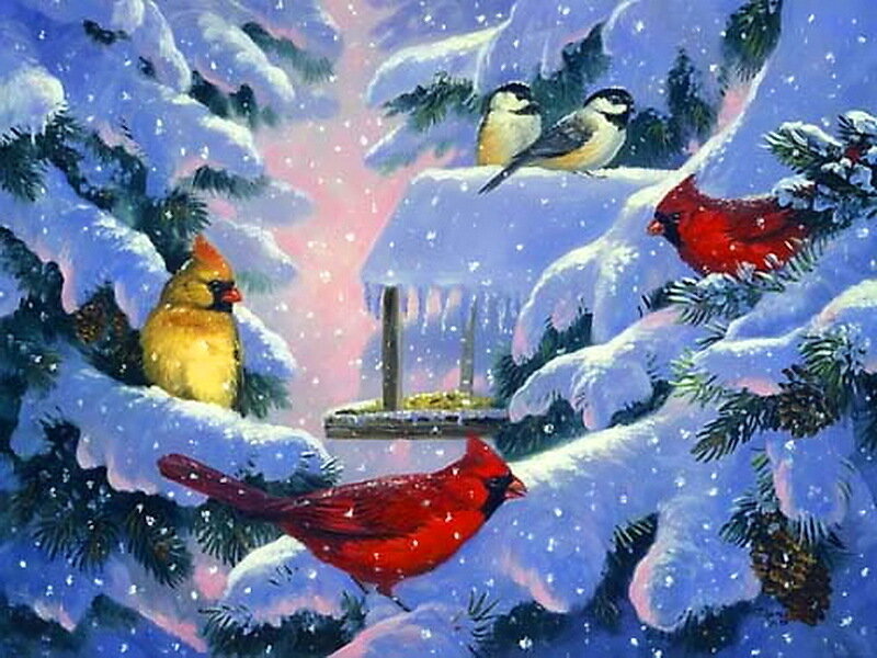 Cardinals and Chickadees in Snow