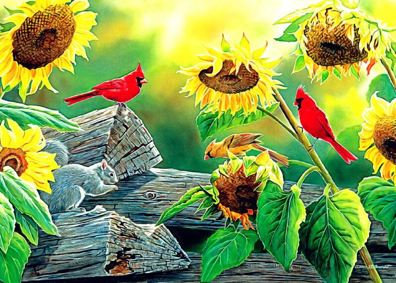 Cardinals and Squirrel in Sunflowers