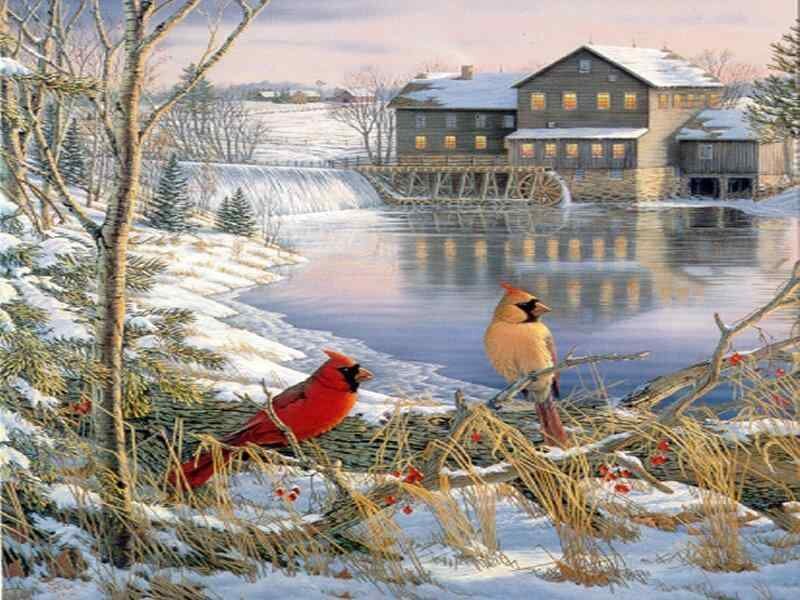 Cardinals by a winter mill