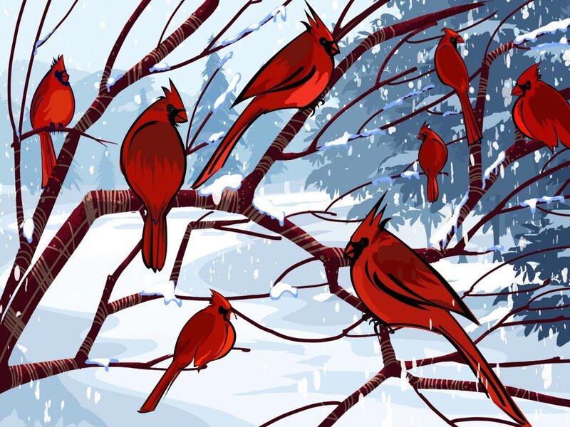 Cardinals in a snowy tree