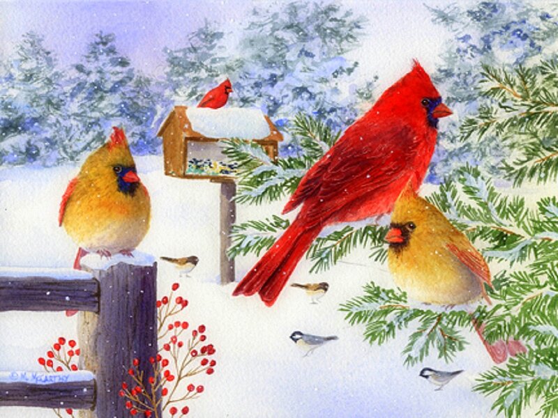 Cardinals in Snow — Red
