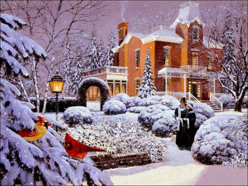 Cardinals in Snow