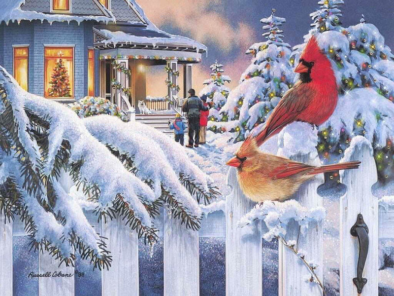 Cardinals on a snowy fence