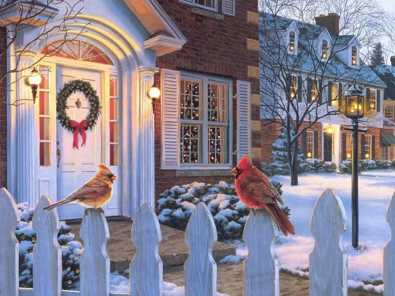 Cardinals on a snowy porch