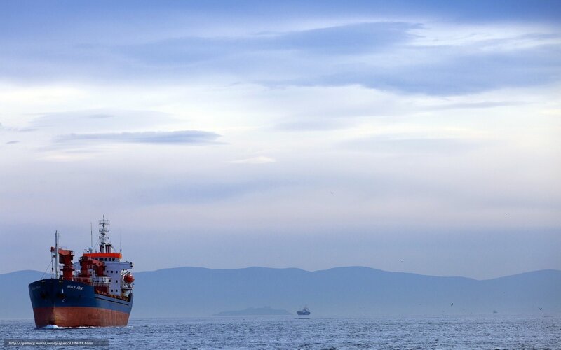 Cargo ship at sea