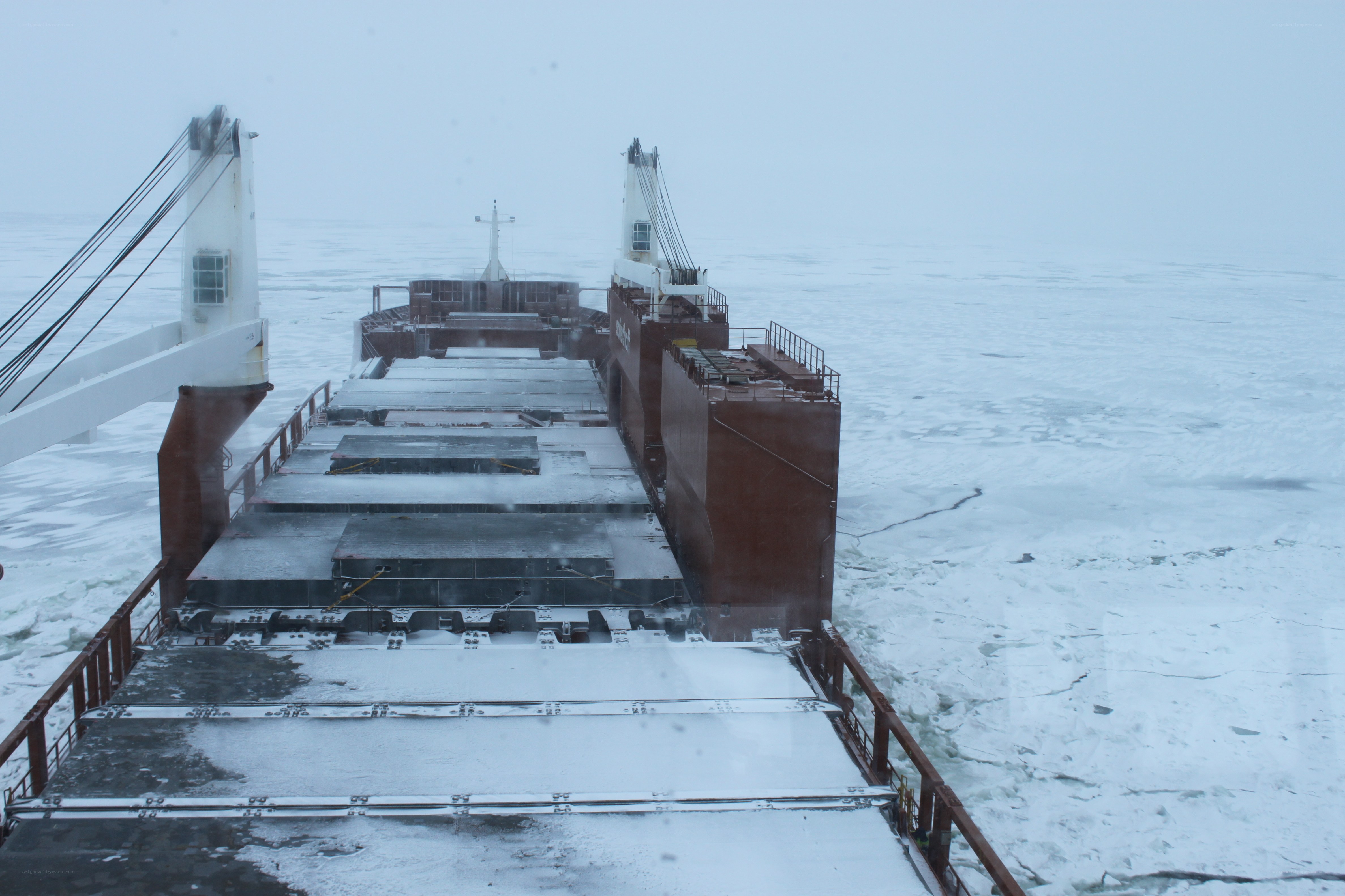 Cargo ship in icy waters