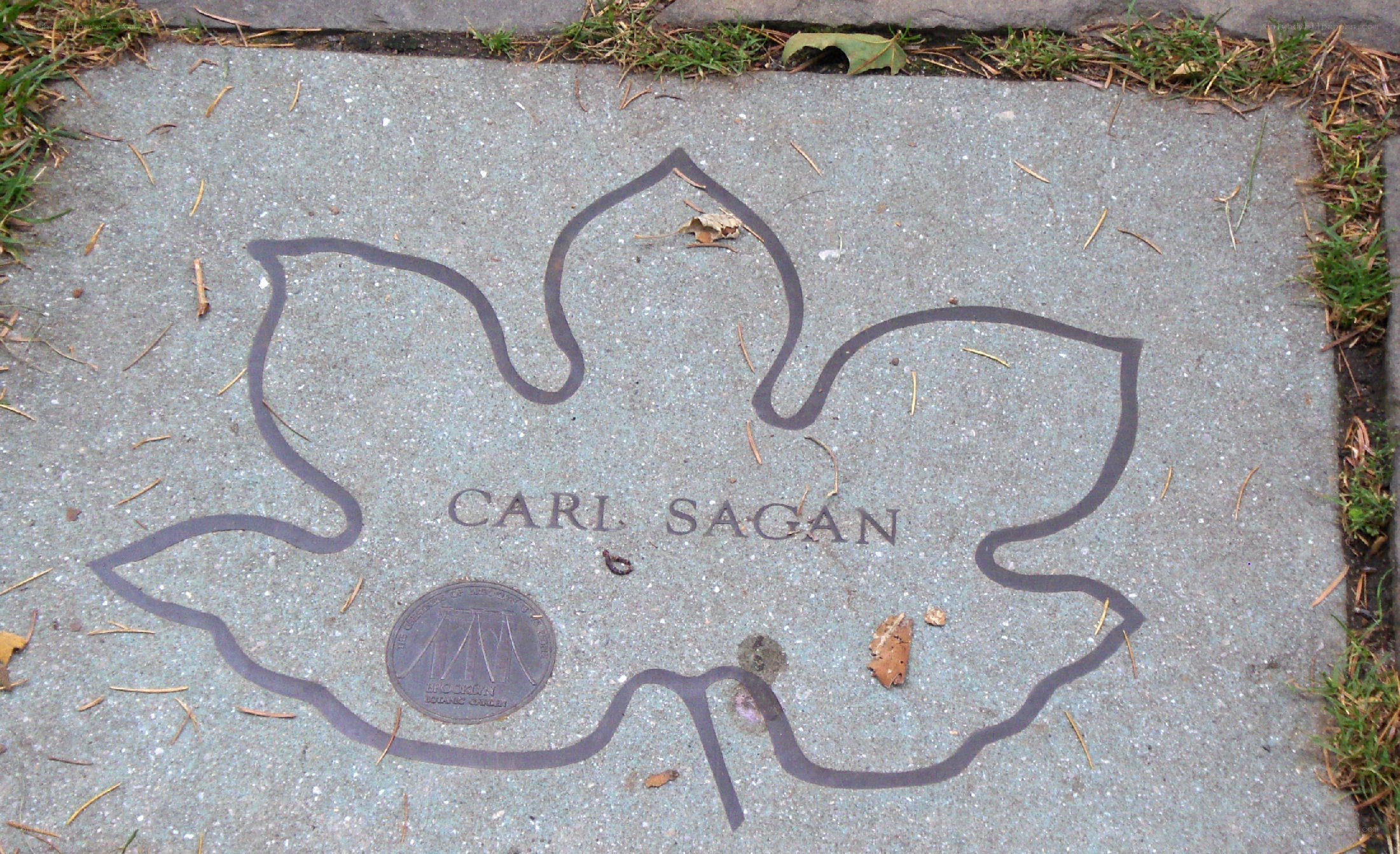 Carl Sagan memorial plaque