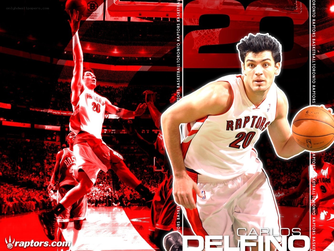 Carlos Delfino Raptors action