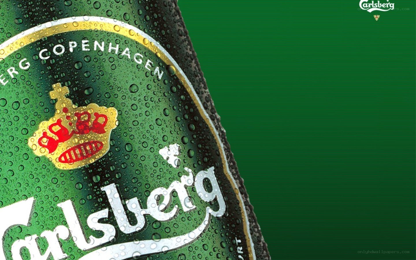 Carlsberg beer bottle close-up