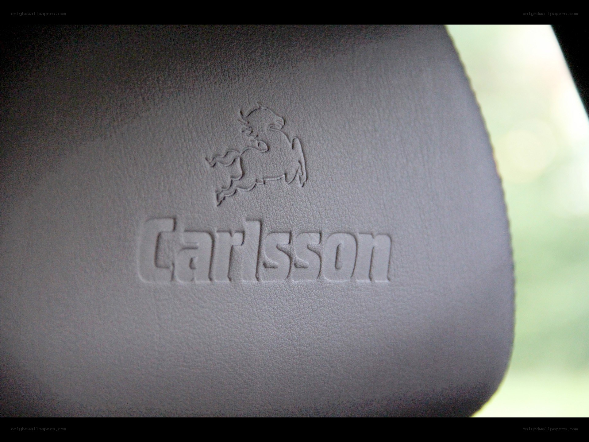 Carlsson logo on car headrest
