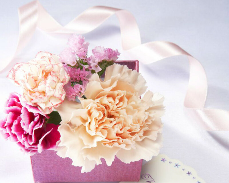 Carnation Bouquet in Box — Pink