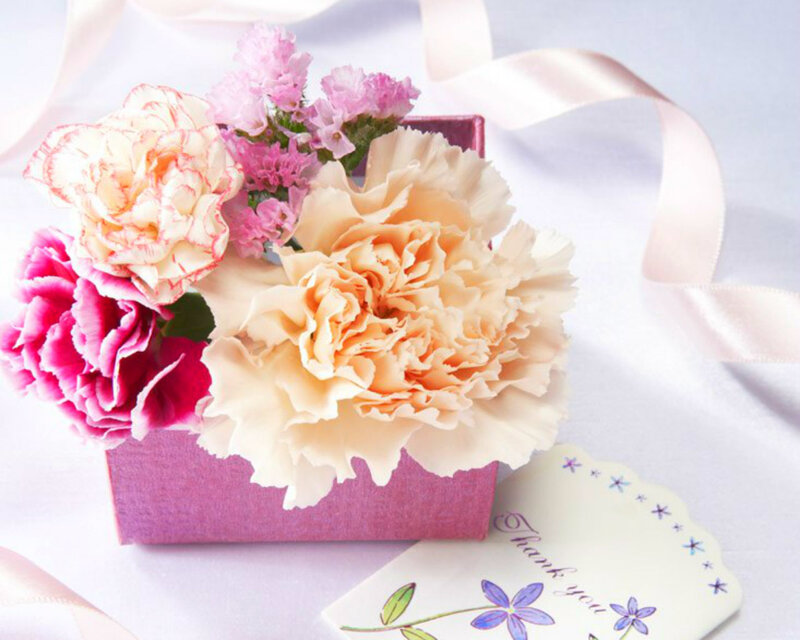 Carnation Bouquet in Box