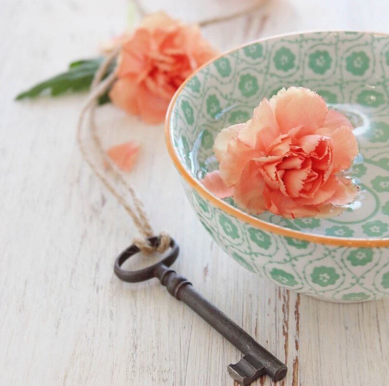 Carnation in Bowl