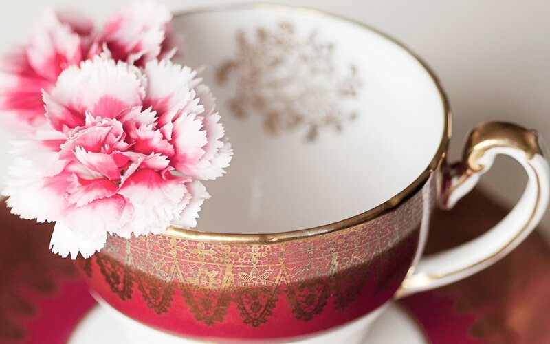 Carnation in Teacup