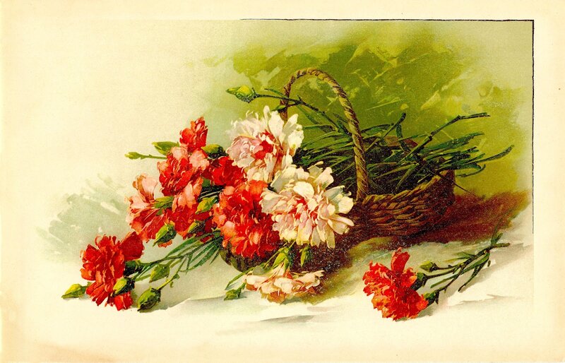 Carnations in a Basket