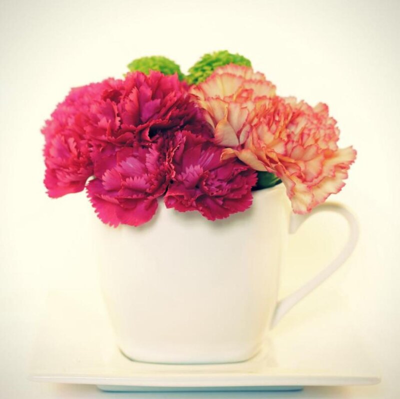 Carnations in a Cup