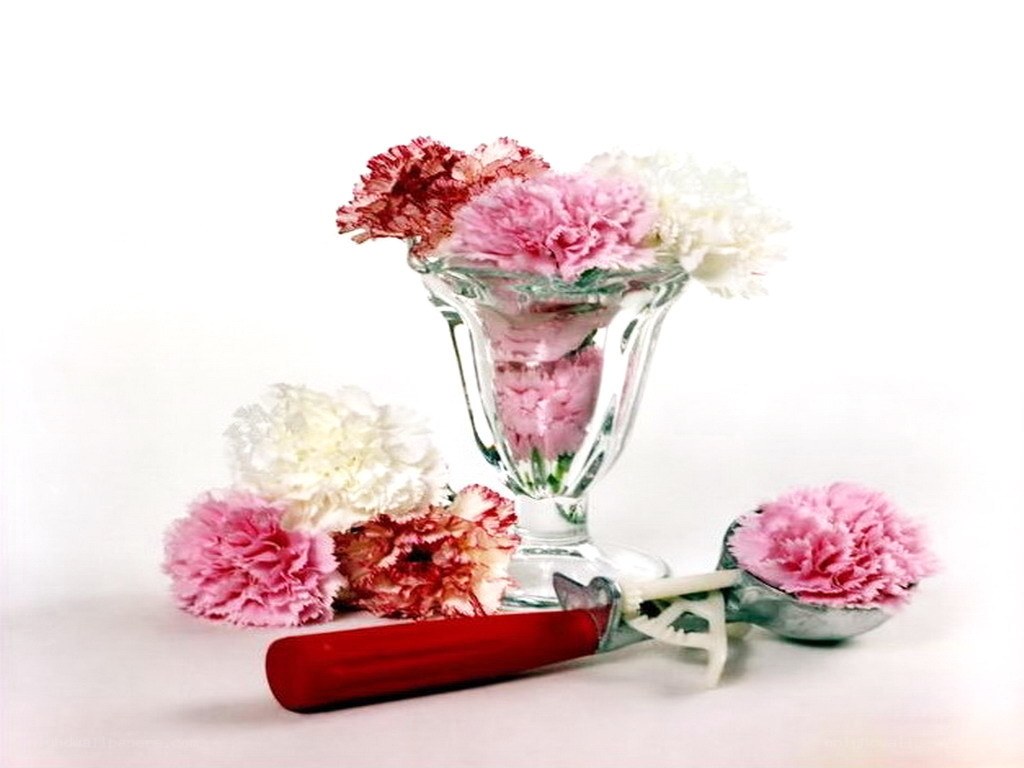 Carnations in a glass vase