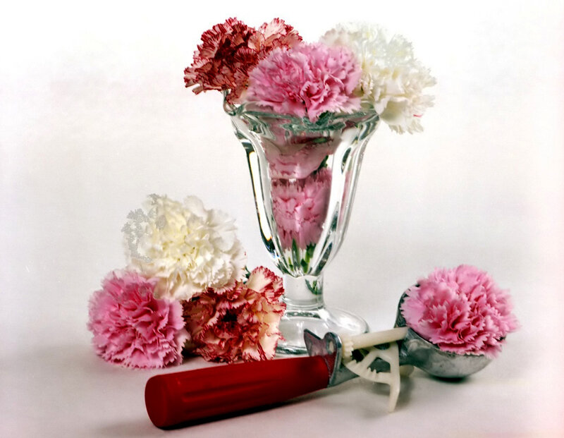 Carnations in Glass Vase
