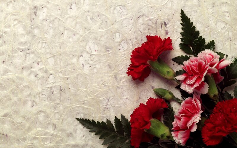 Carnations on textured paper