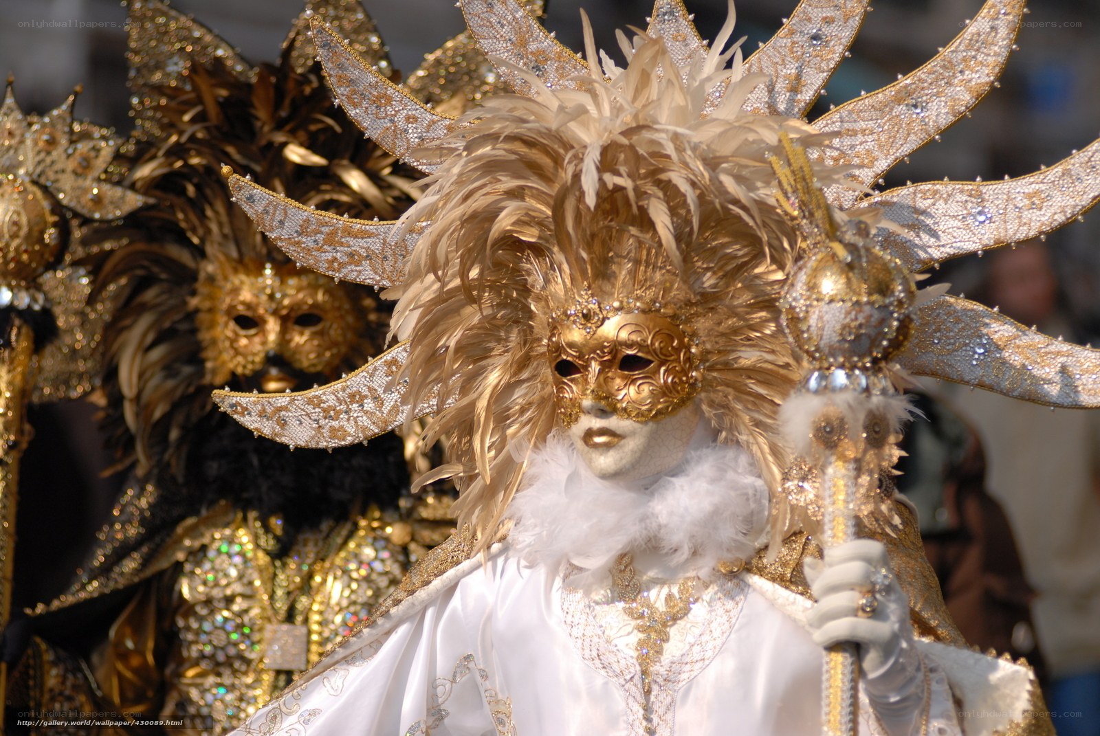 Carnival mask with feathered headdress