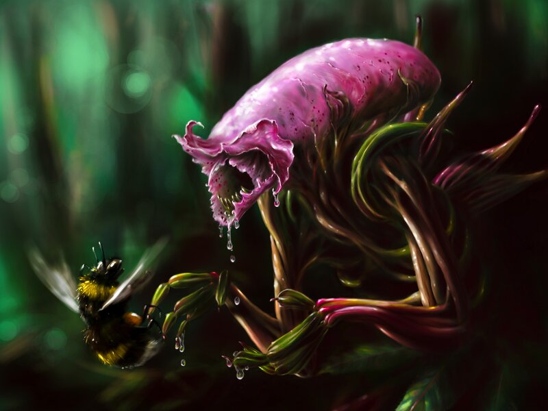 Carnivorous Plant with Bee — Purple, Dramatic