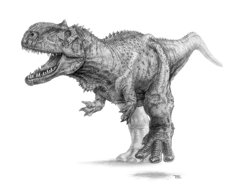 Carnotaurus dinosaur drawing