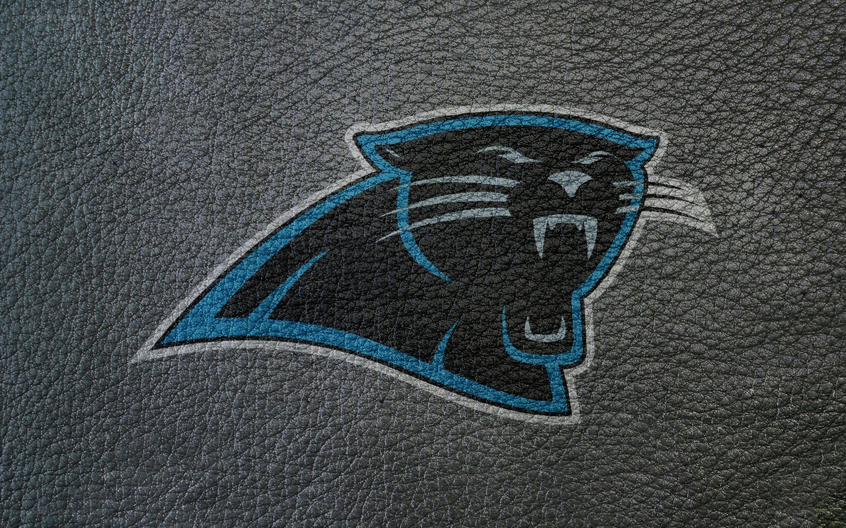 Carolina Panthers logo on leather