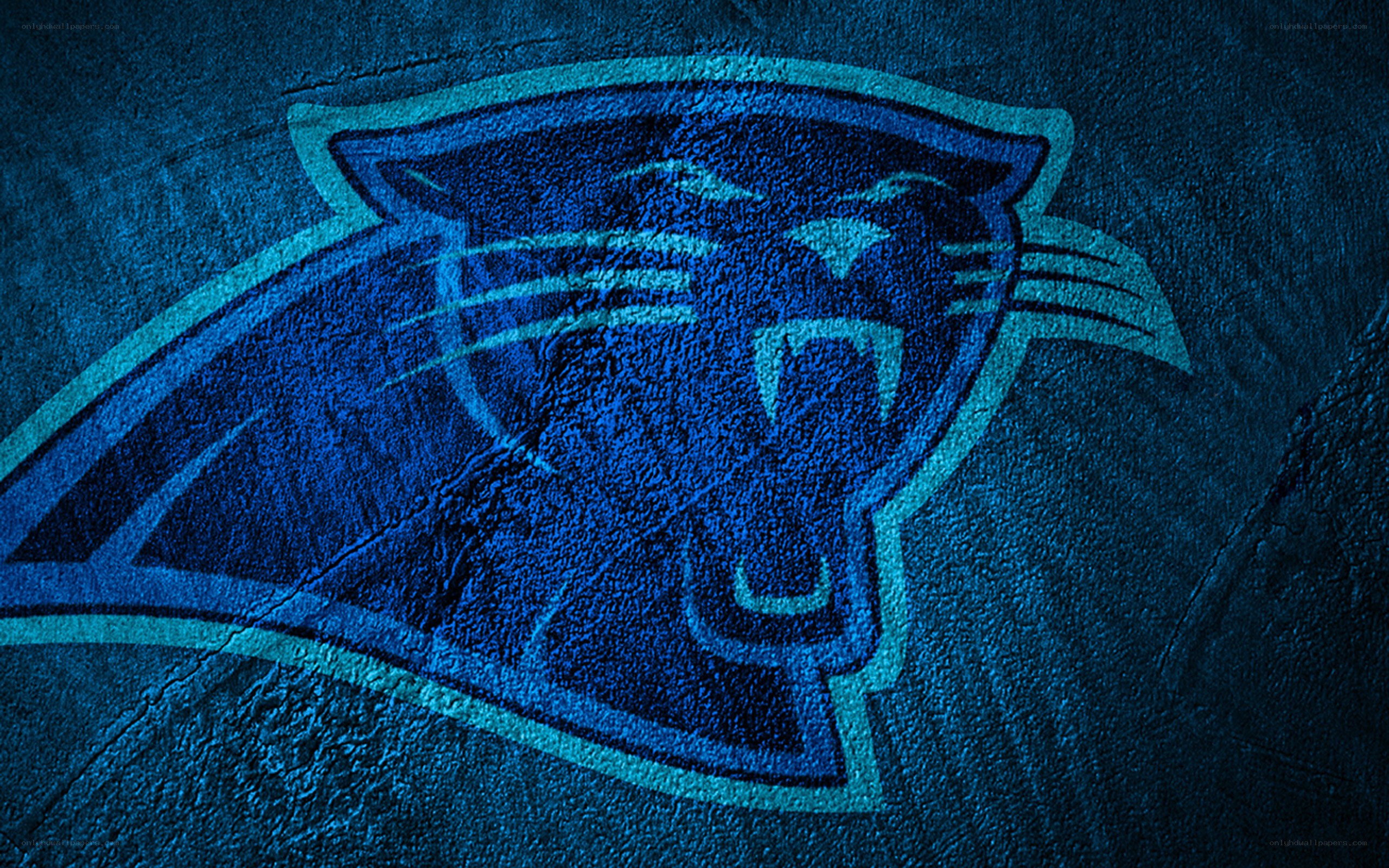 Carolina Panthers logo on textured background