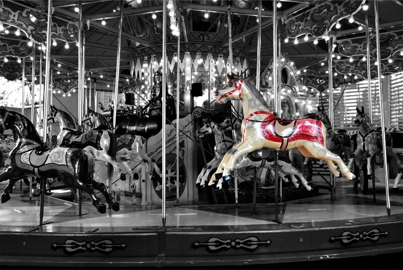Carousel Horses